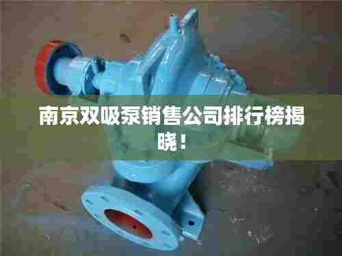 南京双吸泵销售公司排行榜揭晓!