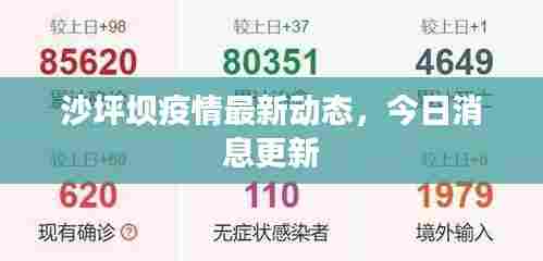 沙坪坝疫情最新动态，今日消息更新