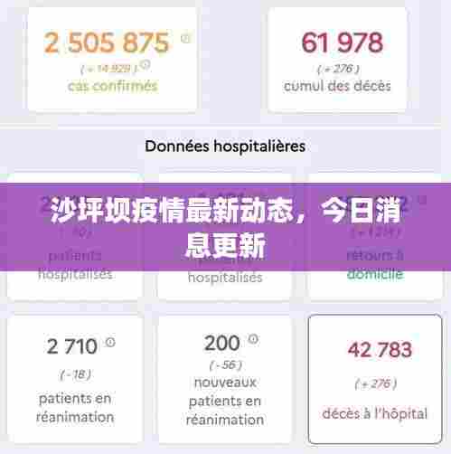 沙坪坝疫情最新动态,今日消息更新