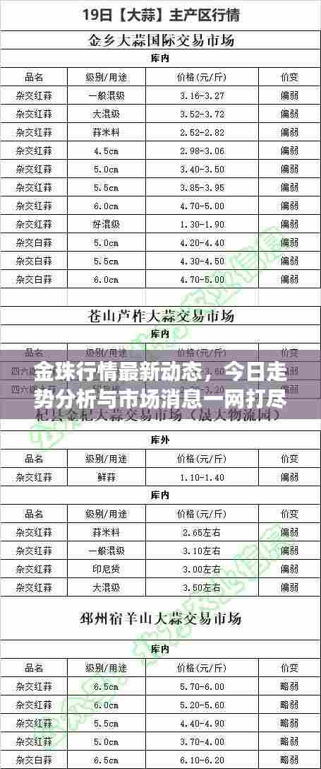 金珠行情最新动态,今日走势分析与市场消息一网打尽