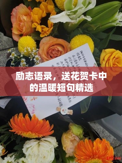 励志语录,送花贺卡中的温暖短句精选