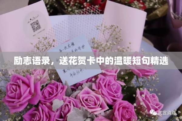 励志语录,送花贺卡中的温暖短句精选