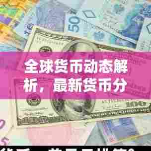 全球货币动态解析,最新货币分析与中国应对策略
