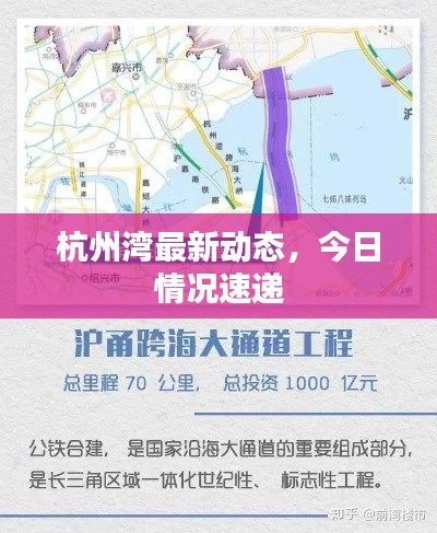 杭州湾最新动态，今日情况速递
