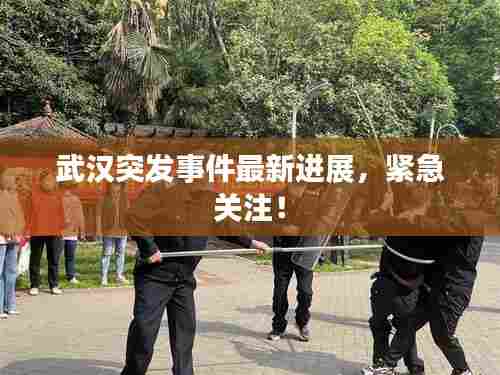 武汉突发事件最新进展,紧急关注!