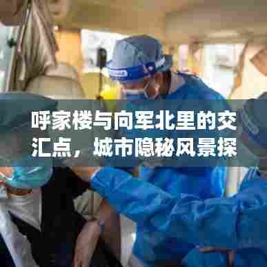 呼家楼与向军北里的交汇点，城市隐秘风景探寻