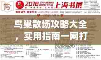 鸟巢散场攻略大全，实用指南一网打尽！