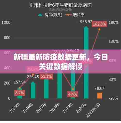 新疆最新防疫数据更新,今日关键数据解读