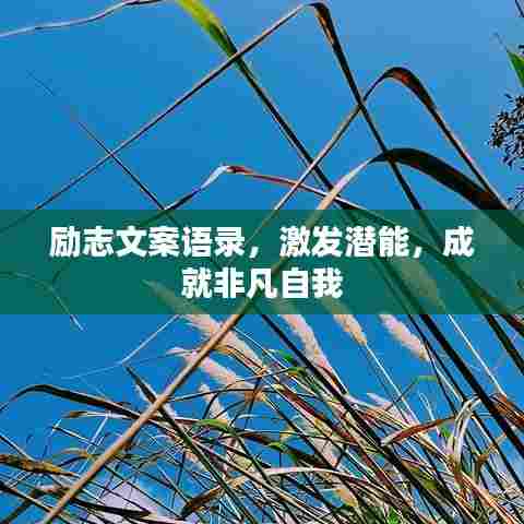 励志文案语录,激发潜能,成就非凡自我