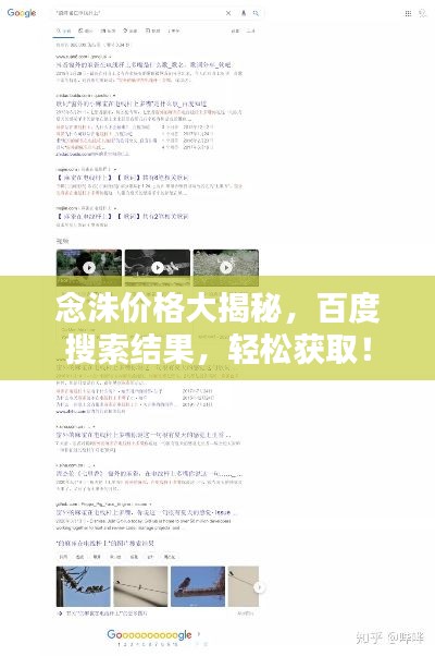 念洙价格大揭秘，百度搜索结果，轻松获取！