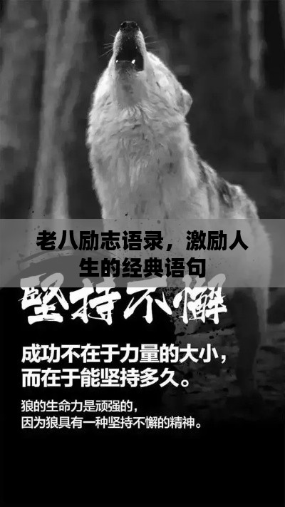 老八励志语录,激励人生的经典语句