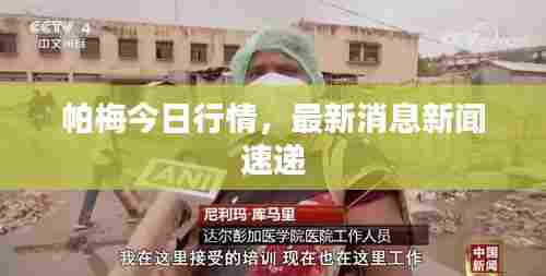 帕梅今日行情,最新消息新闻速递