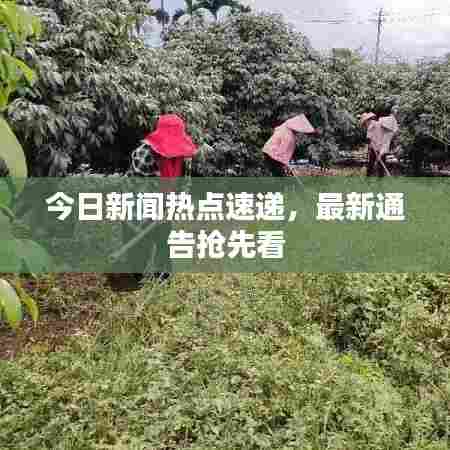 今日新闻热点速递,最新通告抢先看