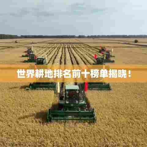世界耕地排名前十榜单揭晓！