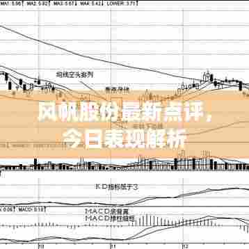 风帆股份最新点评,今日表现解析