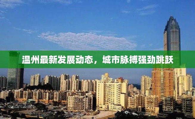 温州最新发展动态，城市脉搏强劲跳跃