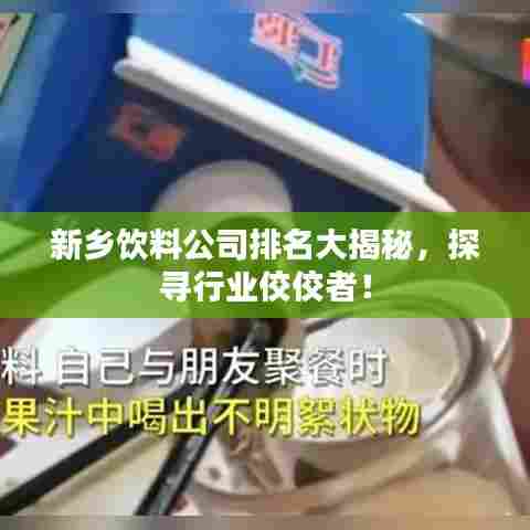 新乡饮料公司排名大揭秘,探寻行业佼佼者!