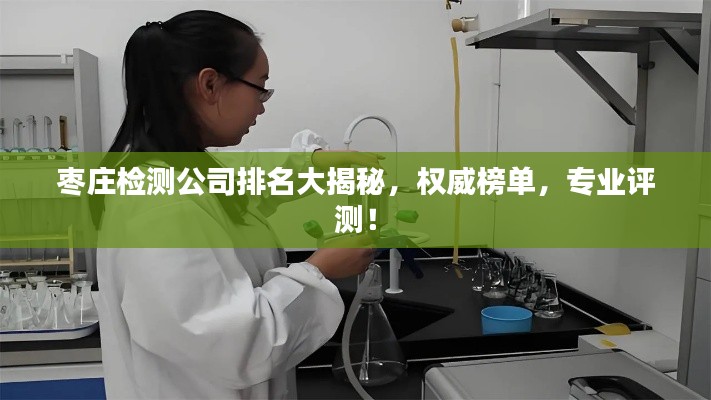 枣庄检测公司排名大揭秘,权威榜单,专业评测!
