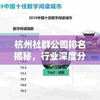 杭州社群公司排名揭秘，行业深度分析与洞察