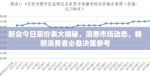 新会今日菜价表大揭秘,洞悉市场动态,精明消费者必备决策参考