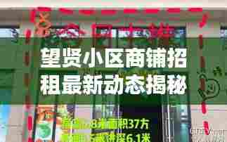 虫书鸟篆 第3页