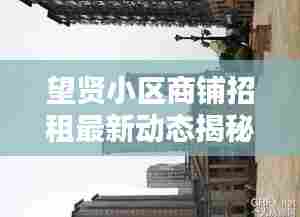 望贤小区商铺招租最新动态揭秘,优质商铺等你来租!