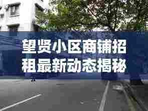 望贤小区商铺招租最新动态揭秘,优质商铺等你来租!