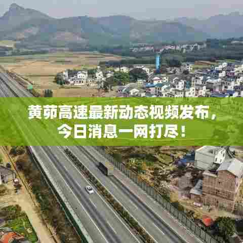 黄茆高速最新动态视频发布,今日消息一网打尽!