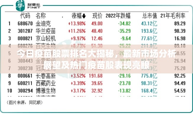 今日疫苗股票排名大揭秘,最新市场分析展望及热门疫苗股表现亮眼