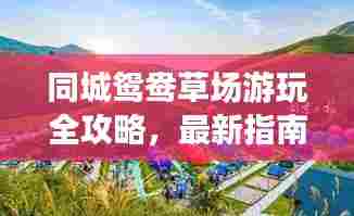 同城鸳鸯草场游玩全攻略，最新指南