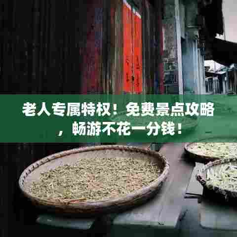 老人专属特权!免费景点攻略,畅游不花一分钱!
