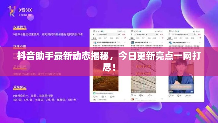 抖音助手最新动态揭秘,今日更新亮点一网打尽!