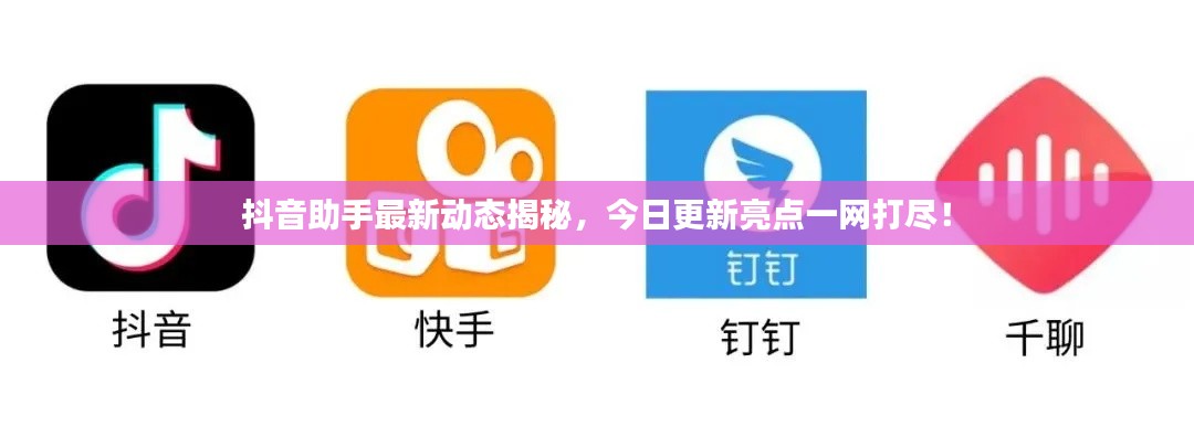 抖音助手最新动态揭秘,今日更新亮点一网打尽!