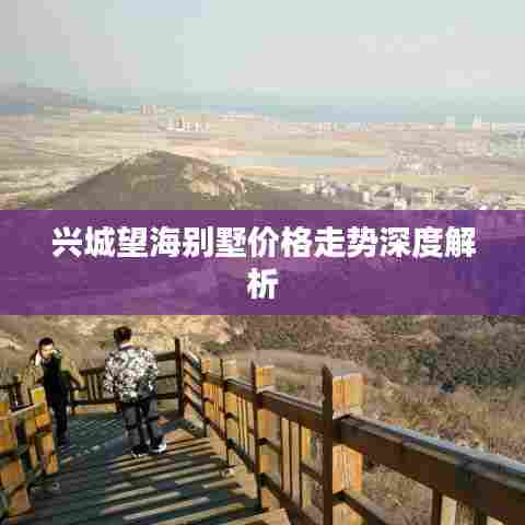 踊贵屦贱 第3页