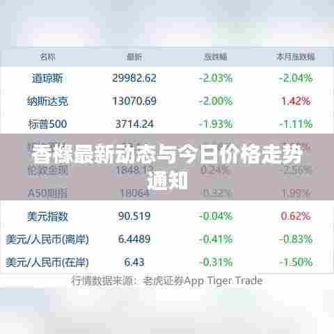 香橼最新动态与今日价格走势通知