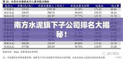 南方水泥旗下子公司排名大揭秘!