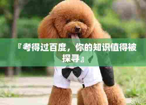 『考得过百度,你的知识值得被探寻』