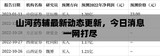 山河药辅最新动态更新，今日消息一网打尽