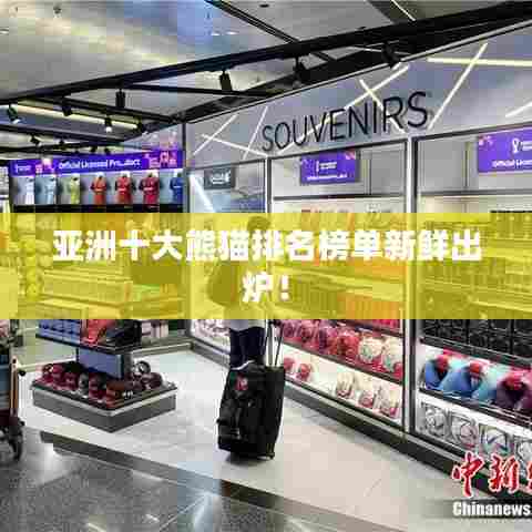 亚洲十大熊猫排名榜单新鲜出炉！