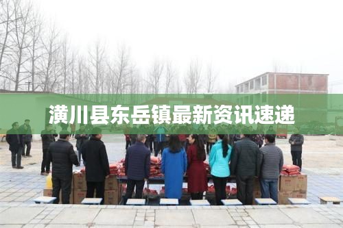 潢川县东岳镇最新资讯速递