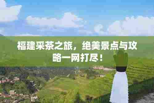 福建采茶之旅，绝美景点与攻略一网打尽！