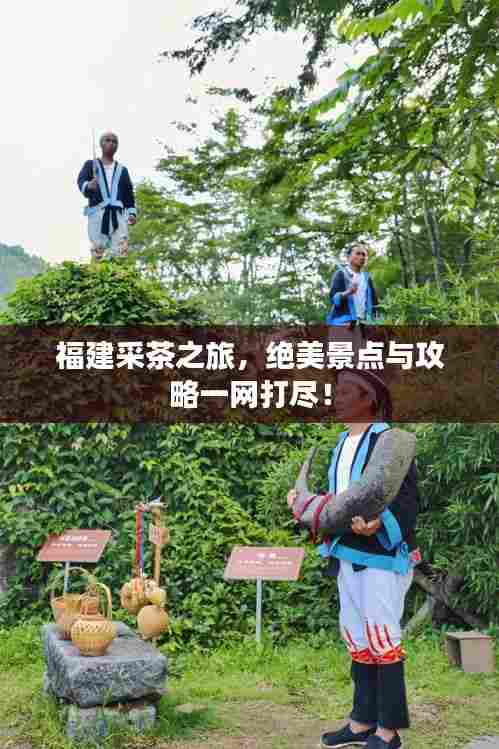 福建采茶之旅,绝美景点与攻略一网打尽!