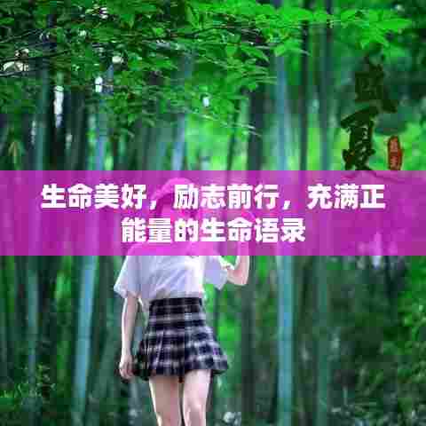 生命美好,励志前行,充满正能量的生命语录