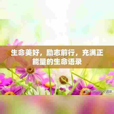 生命美好,励志前行,充满正能量的生命语录