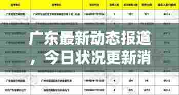 广东最新动态报道,今日状况更新消息速递
