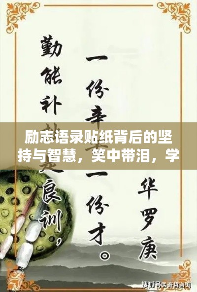 励志语录贴纸背后的坚持与智慧,笑中带泪,学无止境