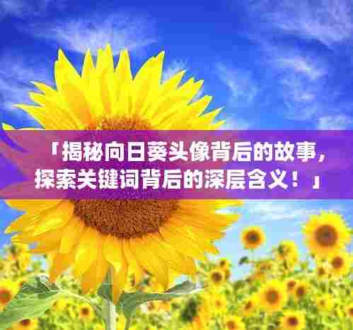 「揭秘向日葵头像背后的故事，探索关键词背后的深层含义！」