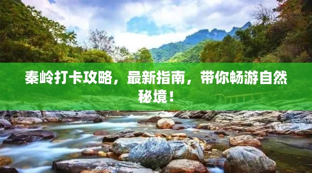 秦岭打卡攻略,最新指南,带你畅游自然秘境!
