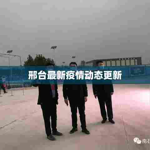 口若悬河 第4页