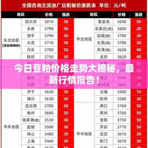 今日豆粕价格走势大揭秘,最新行情报告!